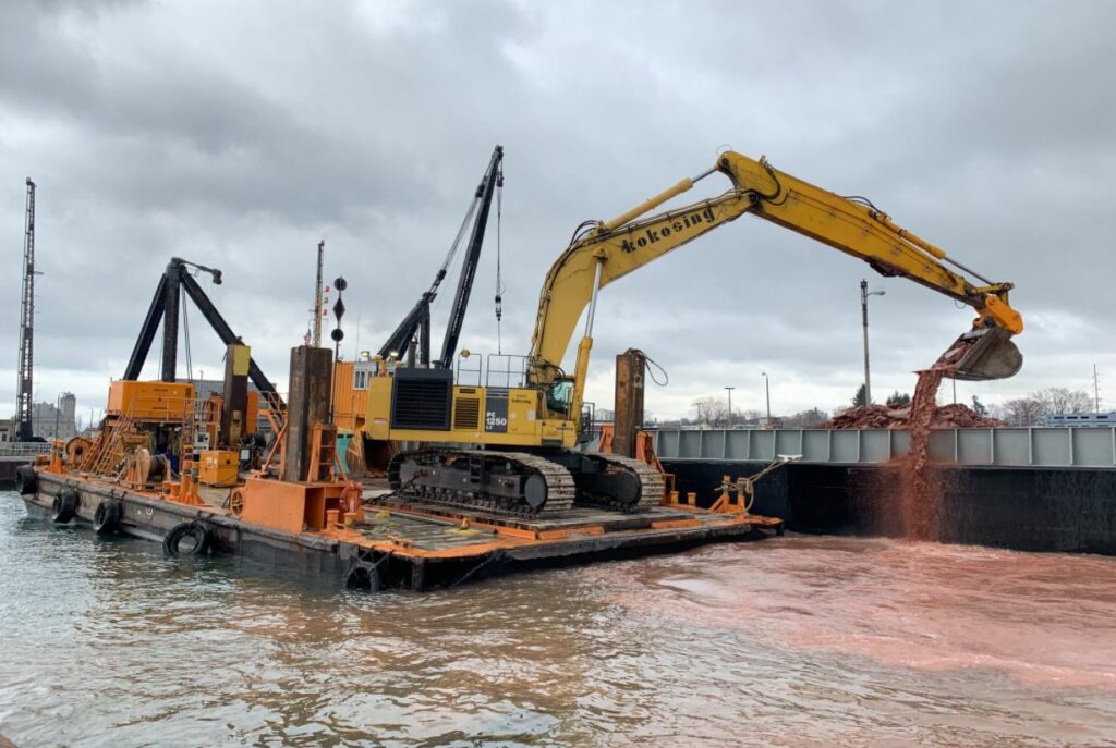 mission bay channel dredging post-transplant eelgrass report