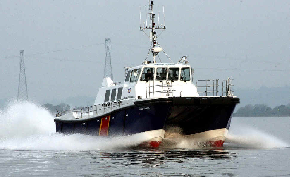 UK Island Panther Safely Returns to Shore After Incident