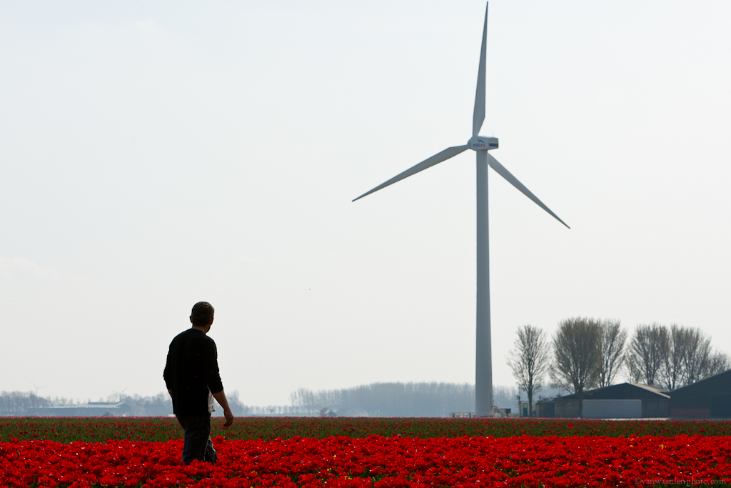 EWEA, GWEC Launch Global Wind Energy Photo Competition (Belgium)