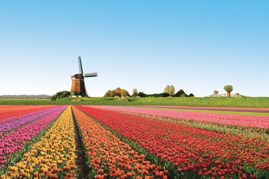 'Wind Power in Netherlands, Market Outlook to 2025' Out Now