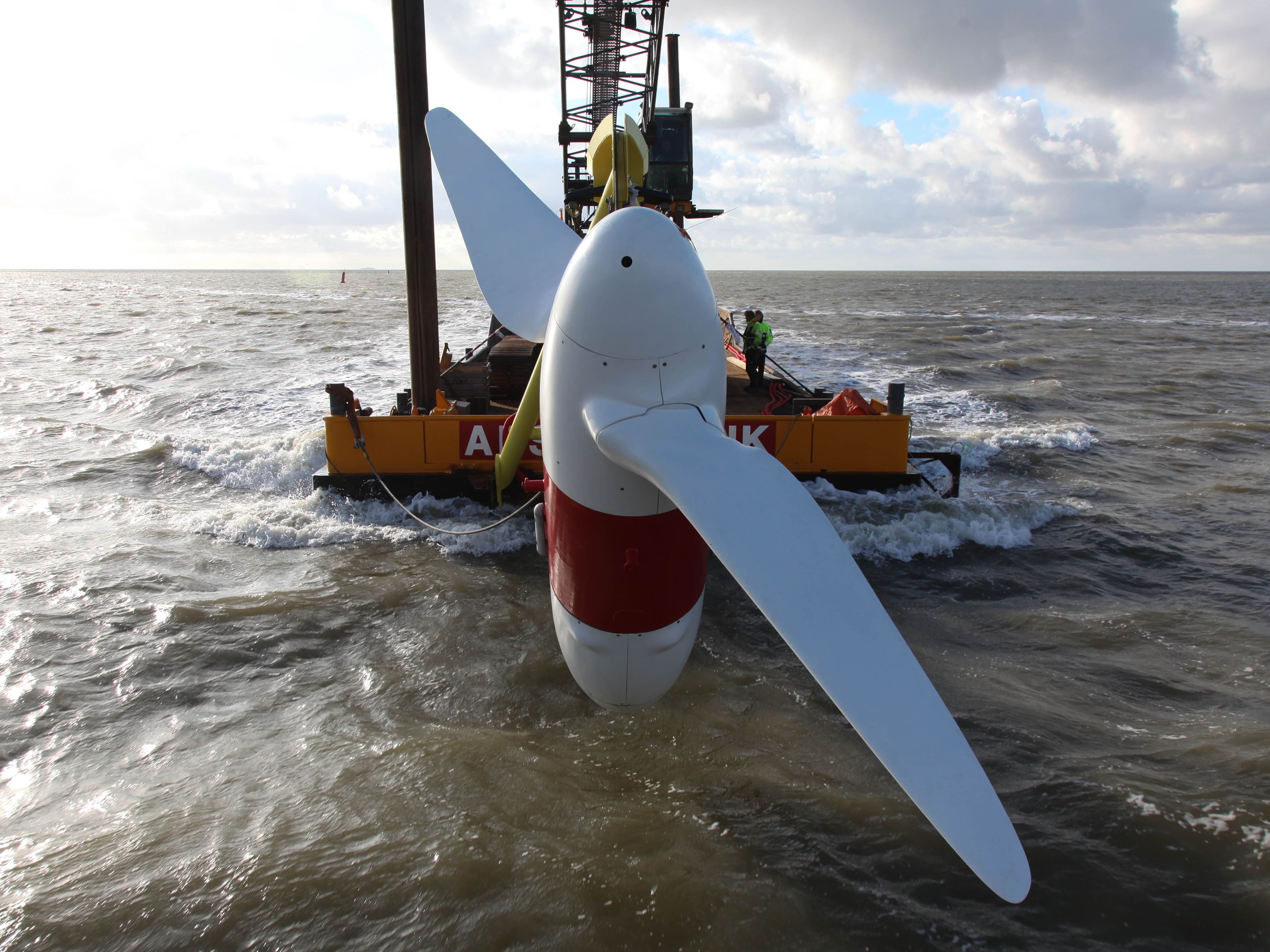 Tribute Resources Forms New Corporation Focused on Tidal Energy