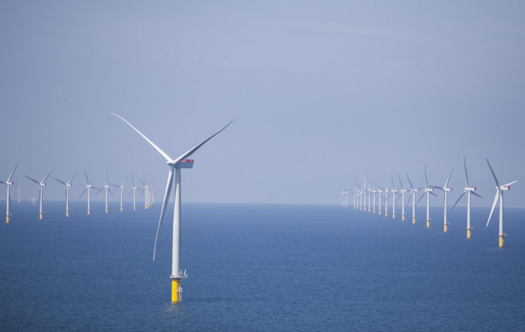 Wind Power Grows in Europe's Electricity Mix