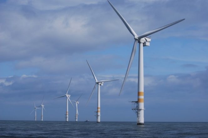 IWEA Chief Calls Irish For Greater Offshore Wind Urgency