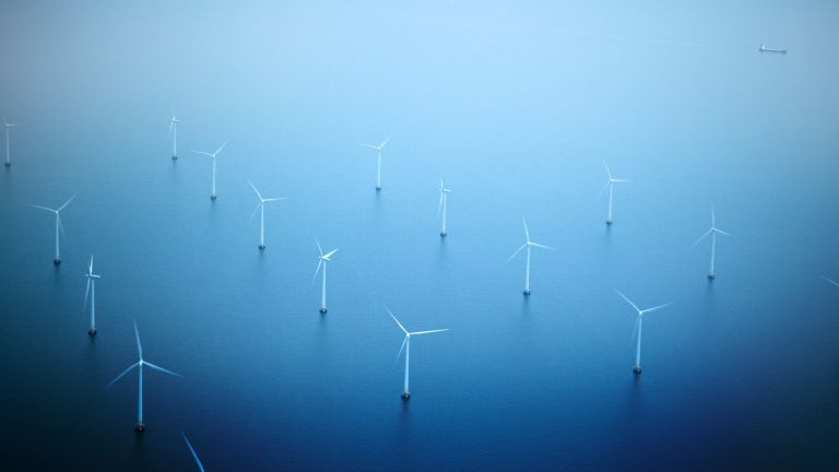 australia-s-first-offshore-wind-project-gets-chief-development-officer