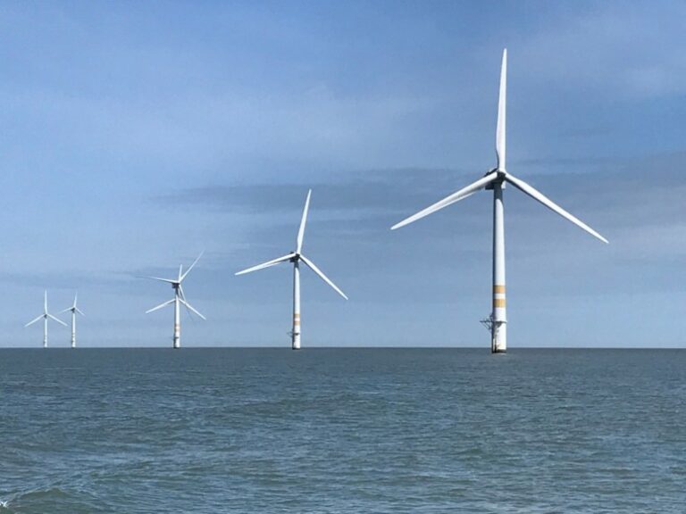 Environmental assessment of proposed areas for offshore wind farms