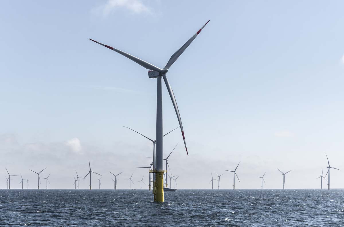 An offshore wind farm