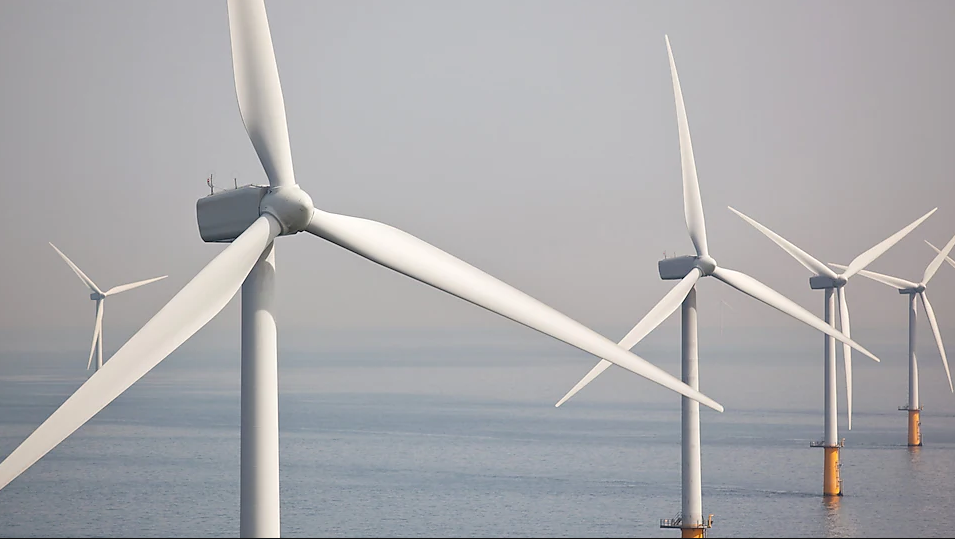 Shell Takes Full Ownership of First Dutch Offshore Wind Farm