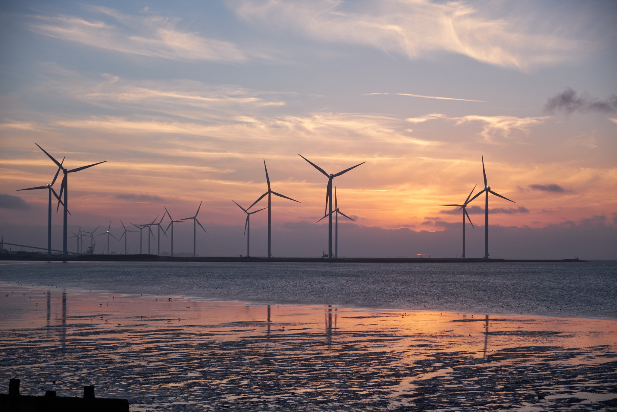 A photo of a wind farm