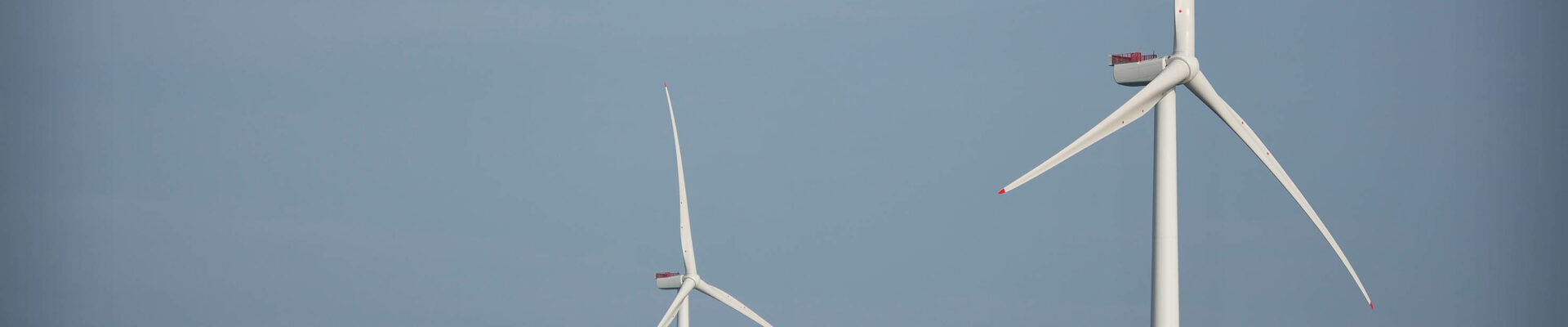 A photo of the Triton Knoll offshore wind farm