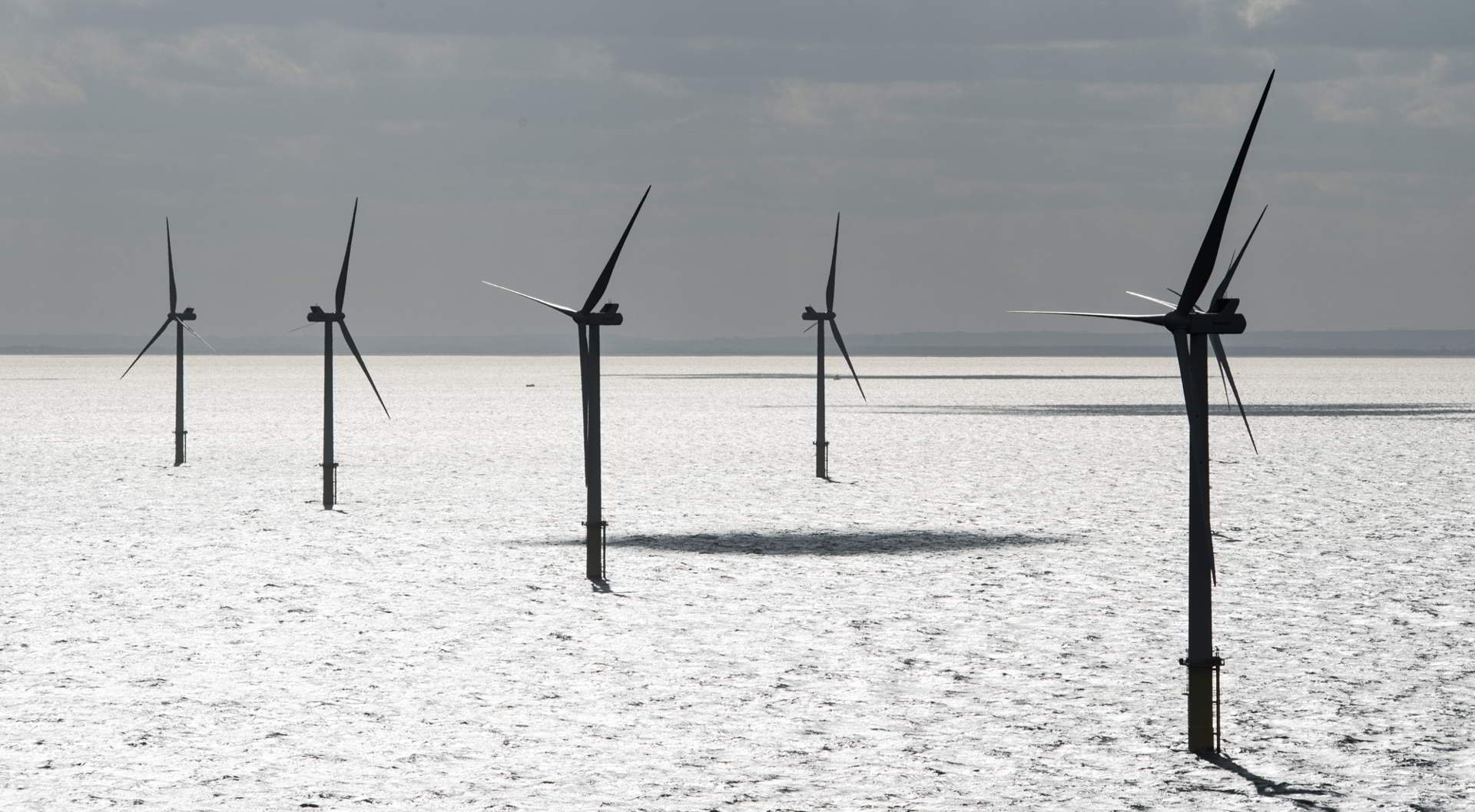 A photo of the Humber Gateway offshore wind farm in the UK