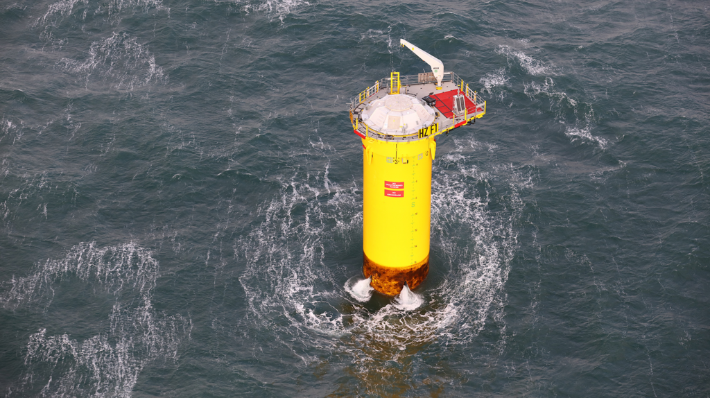 Windturbines aan de kust van Nederland staan ​​open voor het leven in zee
