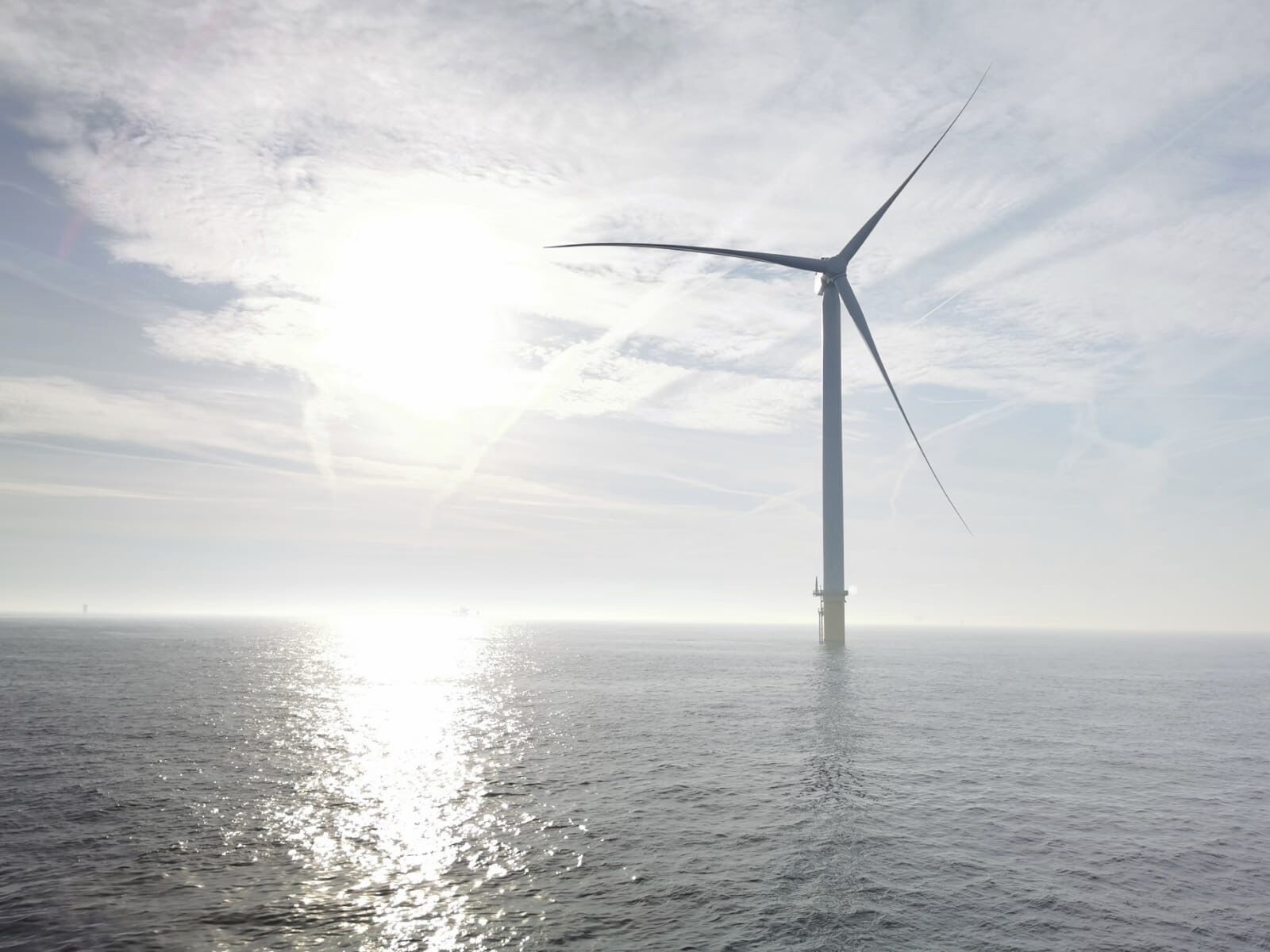 Vattenfall And Basf To Compete In Next Dutch Offshore Wind Tender Offshore Wind