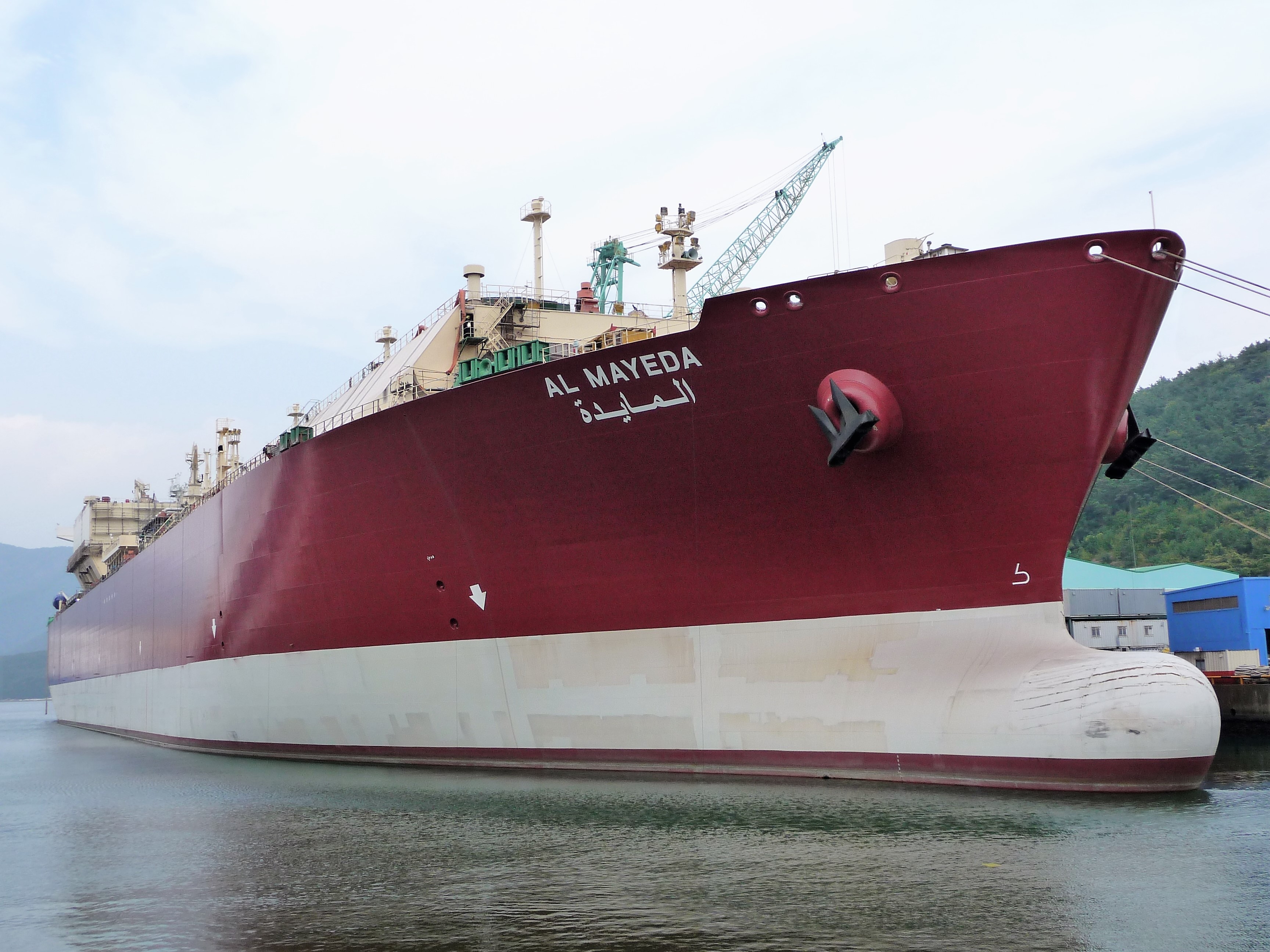 WoodMac warns LNG shipowners of over order risk