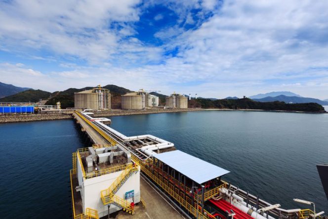 China's LNG imports in February dip