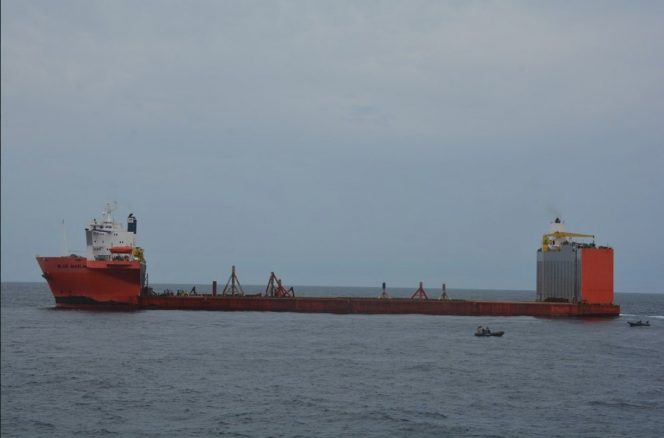 Blue Marlin Image by the Spanish Navy