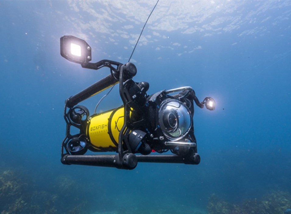 Boxfish Research ROV