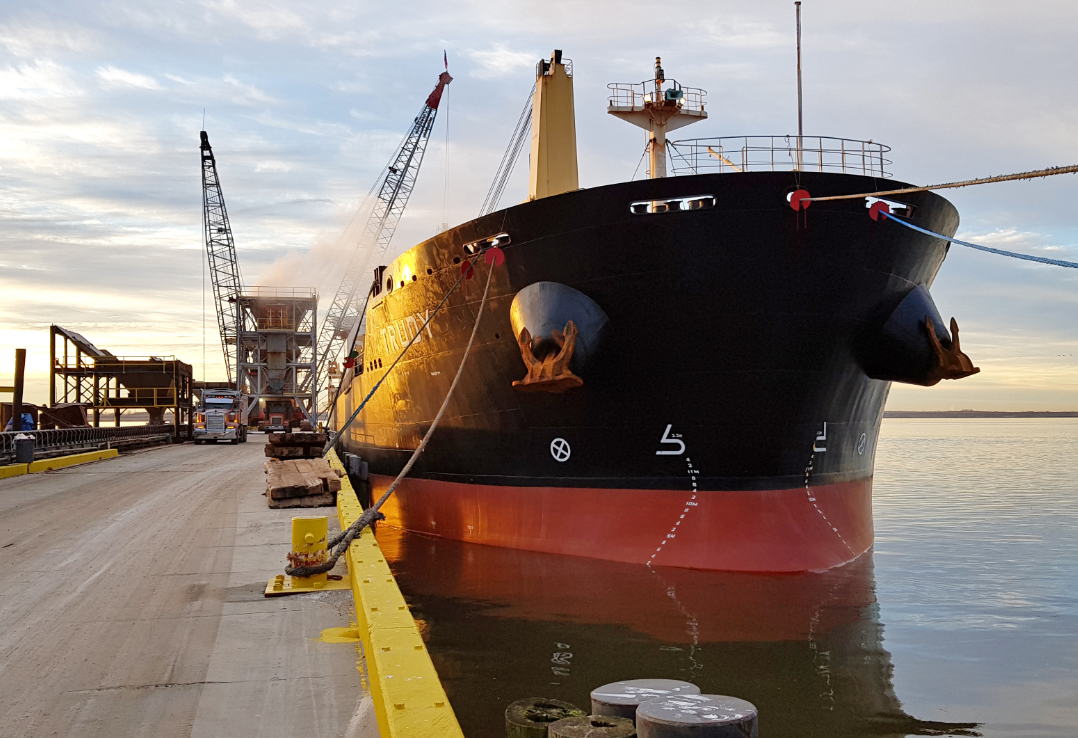 MV Trudy bulk carrier