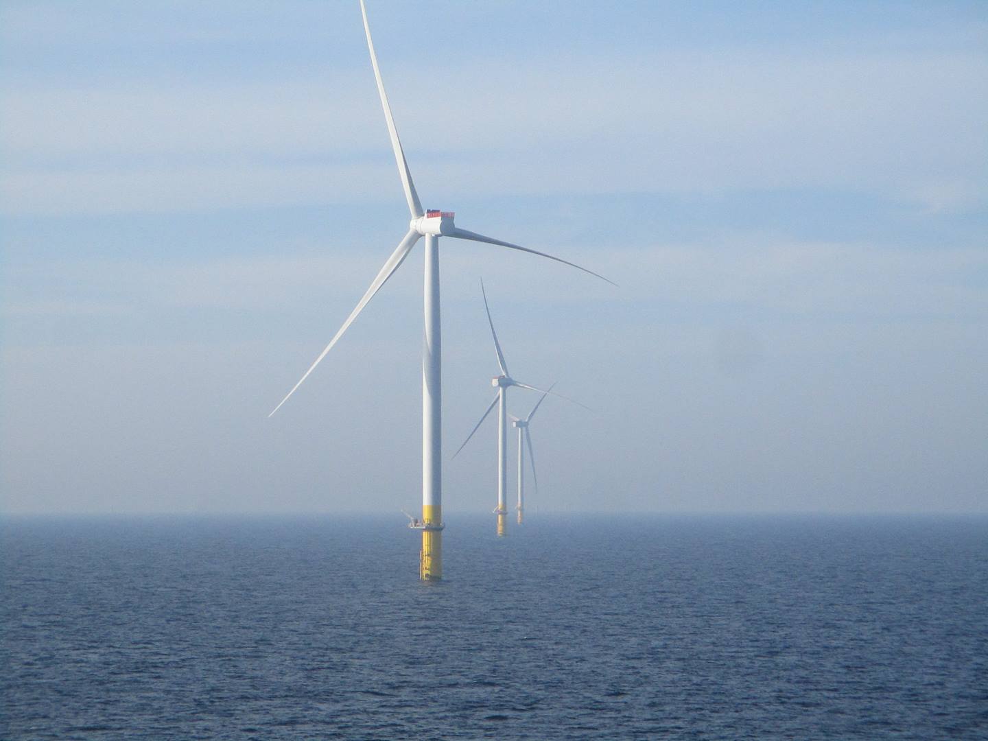 The Netherlands to extend offshore wind licences to 40 years