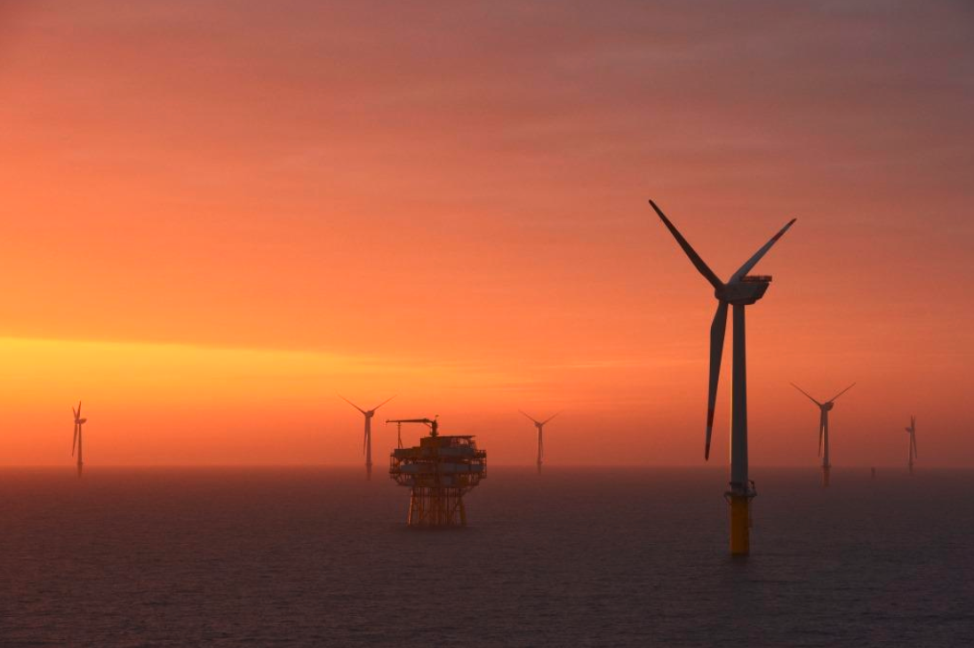 German offshore wind operator in need of coordination services
