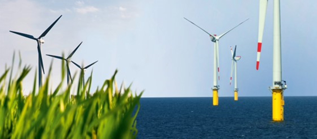 A photo of an offshore wind farm taken from the shore
