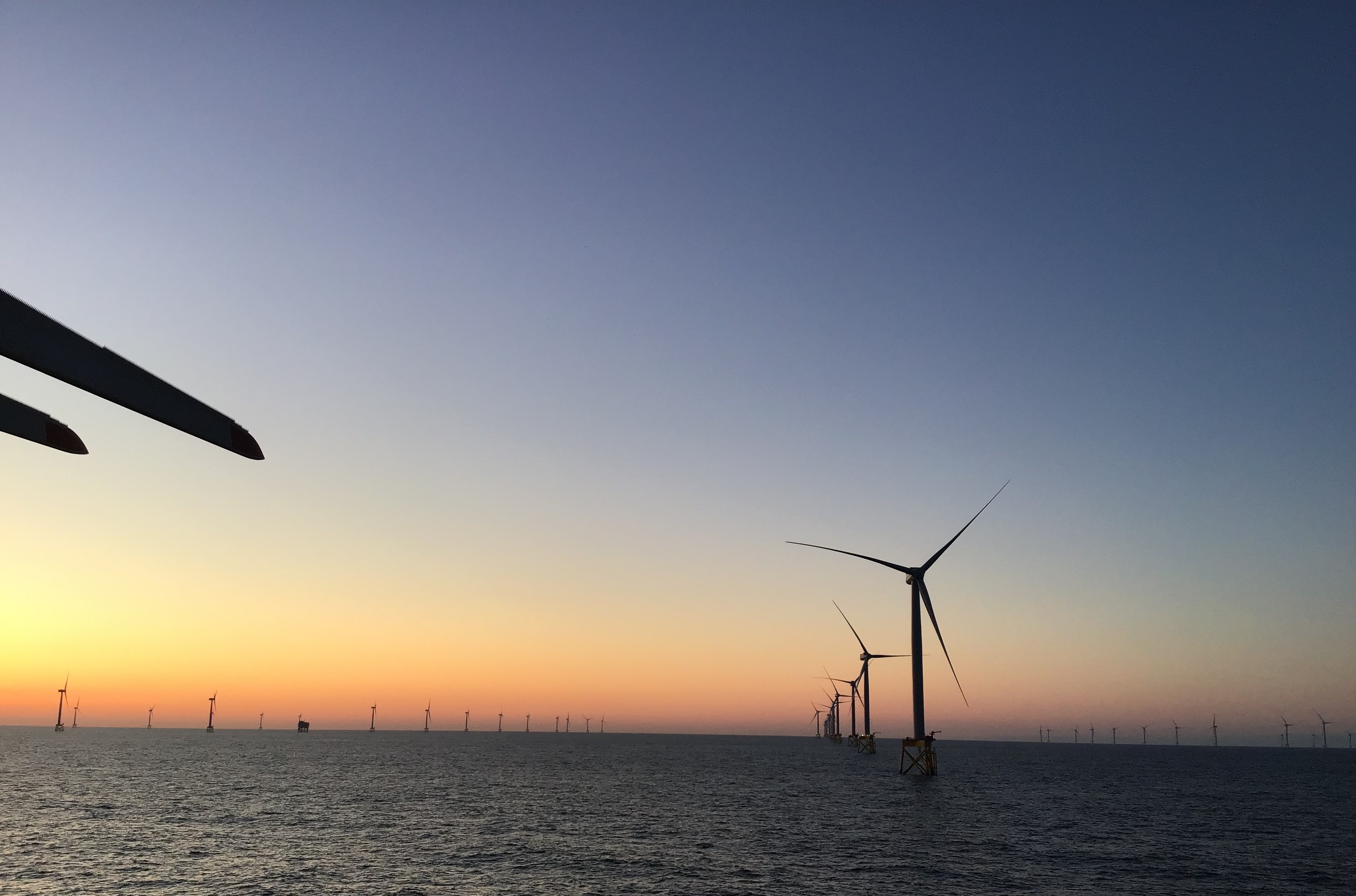 A photo of the East Anglia One offshore wind farm in sunset