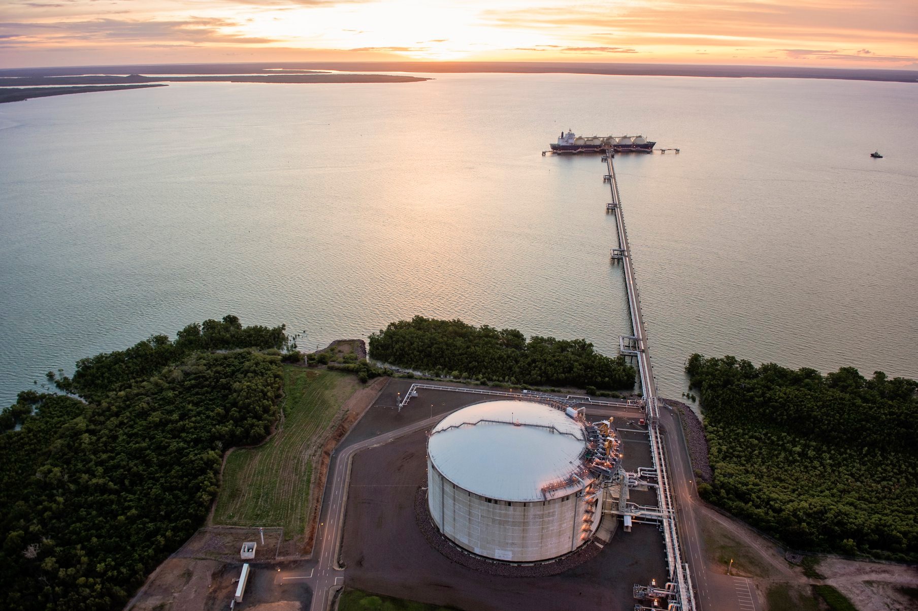 ACCC: low oil, LNG prices hike medium, long-term supply risk