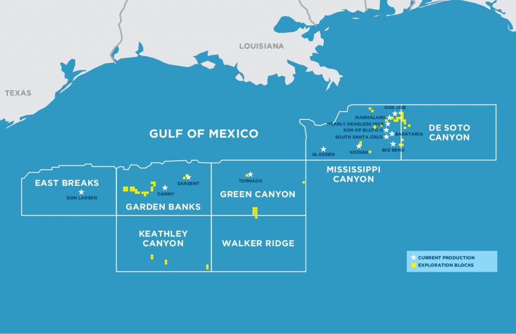 Kosmos Energy's Gulf of Mexico assets 