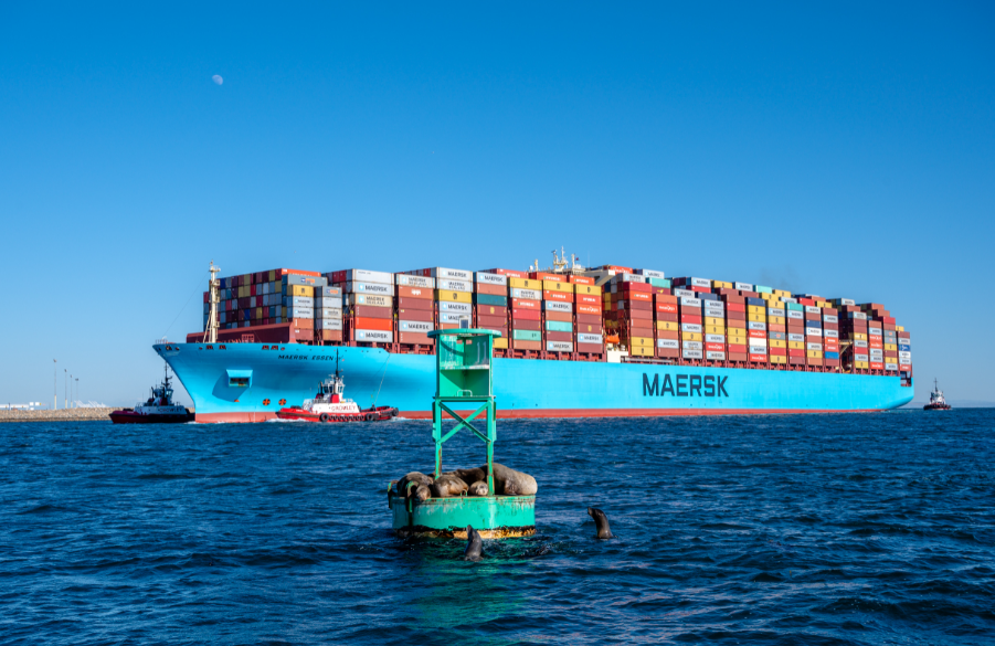 Maersk Essen containership