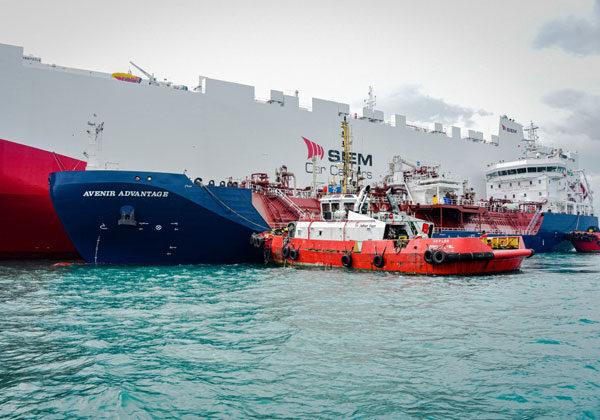 MISC units mark LNG milestones with Avenir Advantage