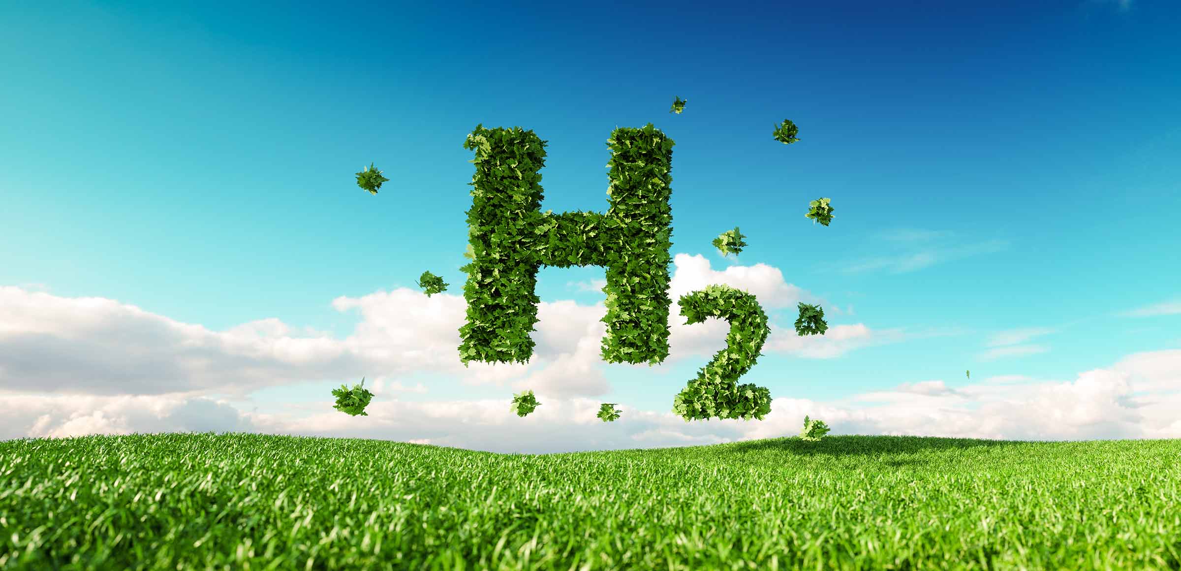 An image showing H2 made of green grass and leaves