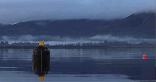 A photo of NetBuoy in the Cromarty Firth (Courtesy of Xavier Wadbled/Wave Energy Scotland)