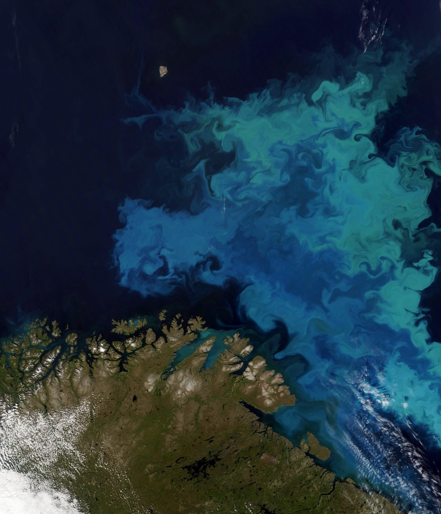 CGG Barents Sea seep study map