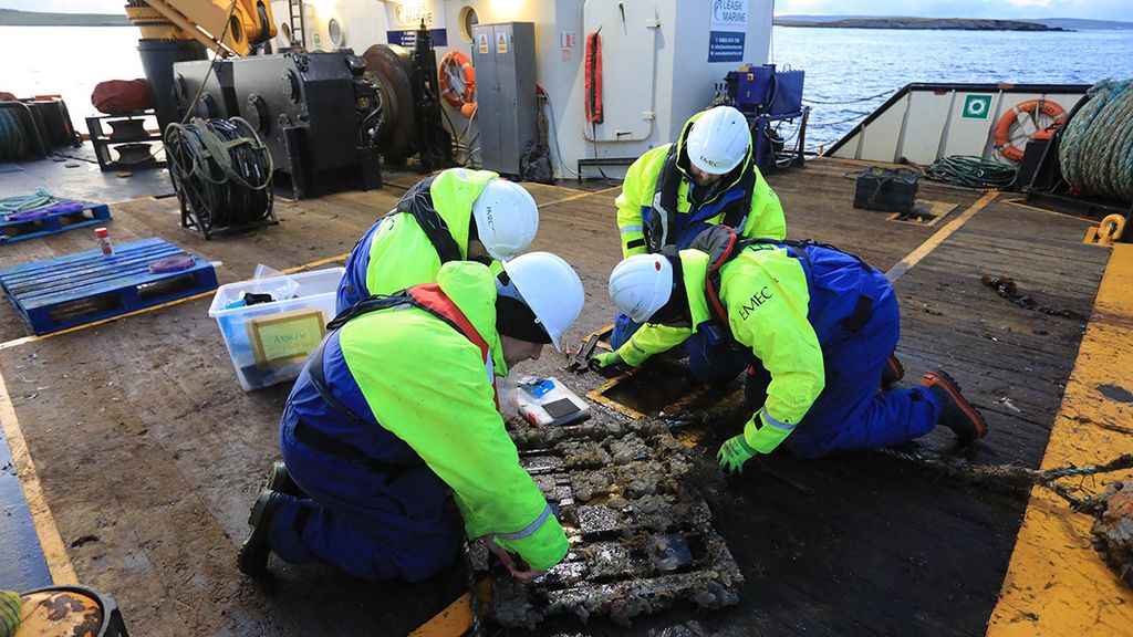 Illustration/Researchers carrying out biofouling frame inspection (Courtesy of Colin Keldie/EMEC)