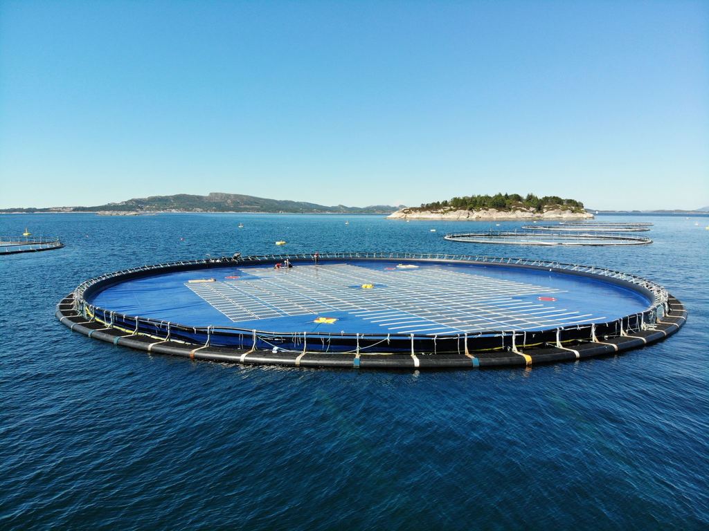 Illustration/Ocean Sun's floating solar plant (Courtesy of Ocean Sun)