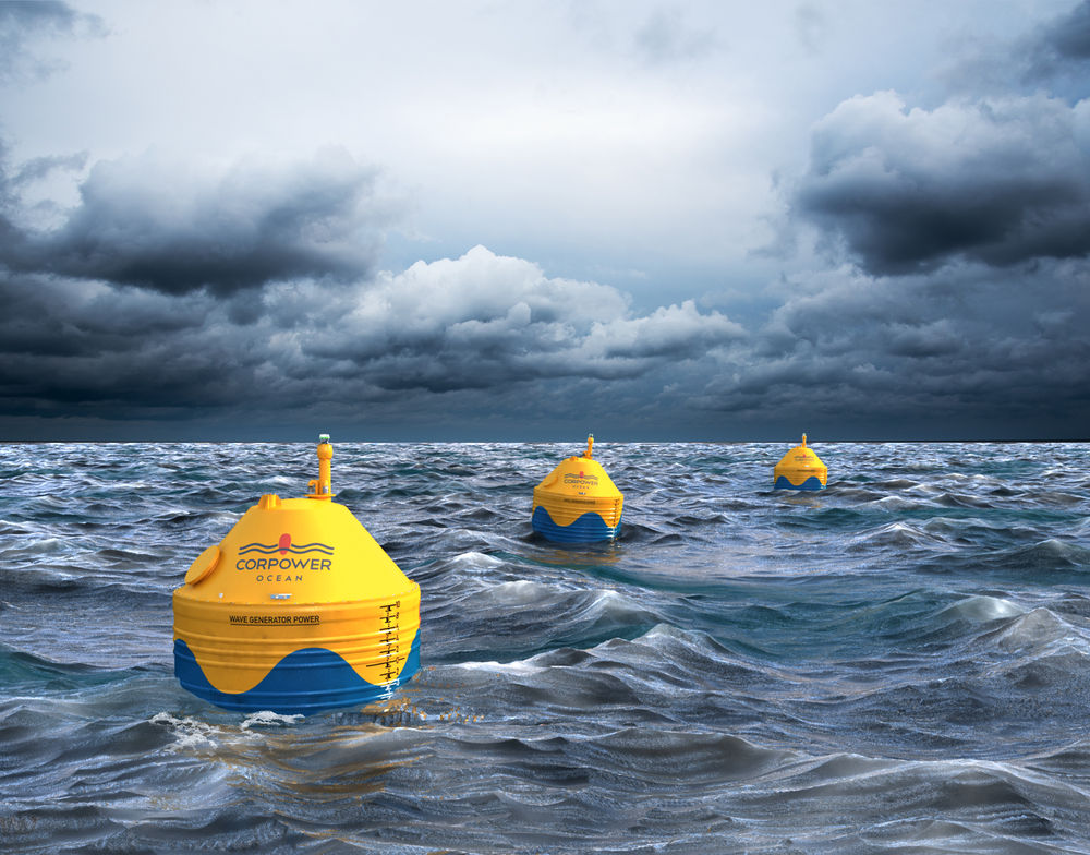 Illustration for CorPower Ocean wave energy array (Courtesy of CorPower Ocean)