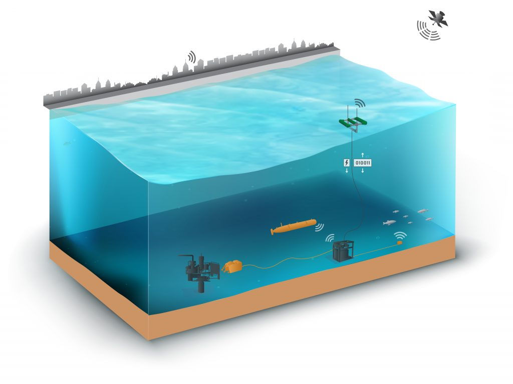 Illustration/C-Power's SeaRAY resident system concept (Courtesy of C-Power)