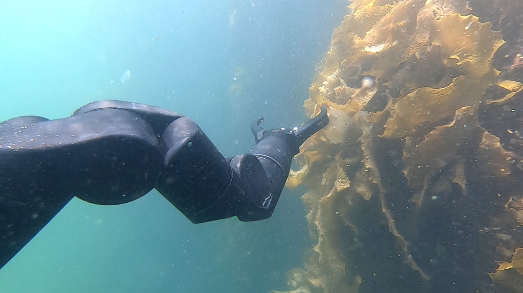 Photo of the Reach Bravo 7 manipulator integrated on a Seaeye Falcon ROV during underwater tests (Courtesy of Blueprint Lab)