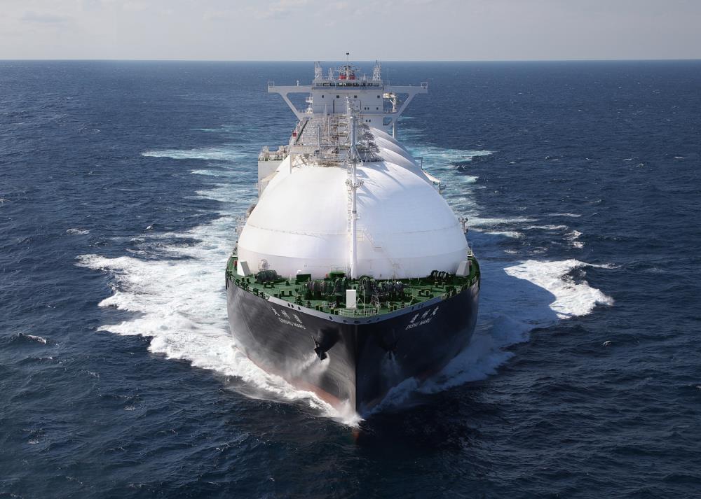 Japanese March LNG imports dip
