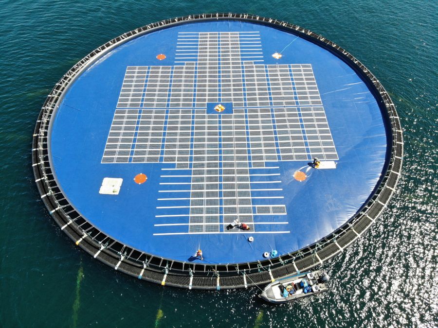 Illustration/Ocean Sun's floating solar technology (Courtesy of Ocean Sun)