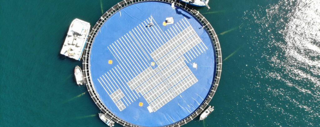 Illustration/Ocean Sun's floating solar technology (Courtesy of Ocean Sun)