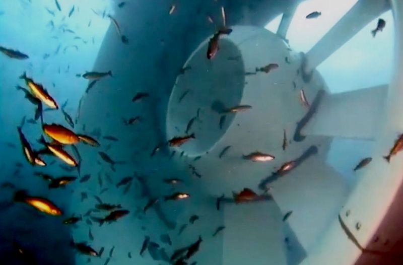 Illustration/Monitoring of fish movement around OpenHydro tidal turbine (Screenshot/Video by Cape Sharp Tidal)
