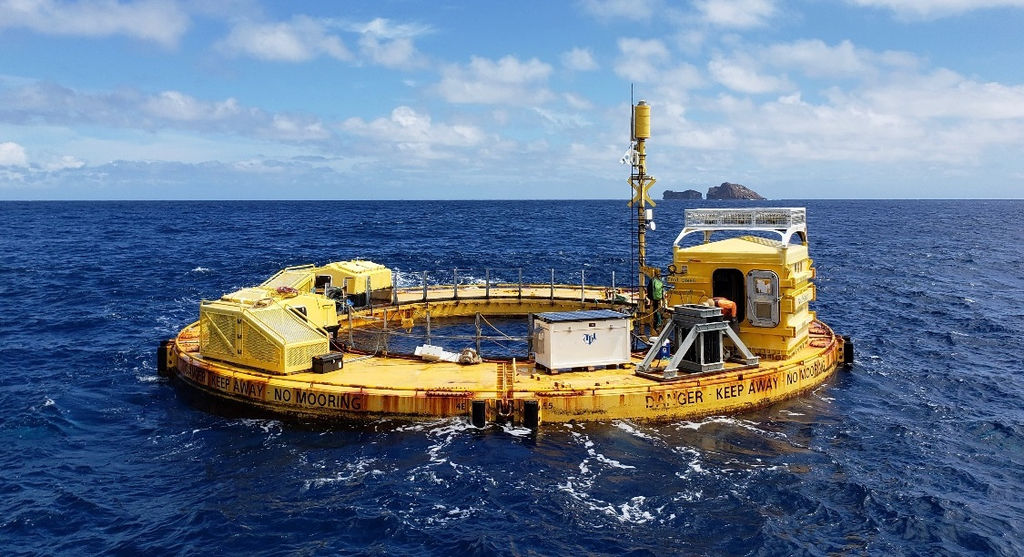 Photo showing the Fred. Olsen Lifesaver wave energy converter deployed at WETS during 2018/2019 (Courtesy of UH/Photo by Pat Cross)