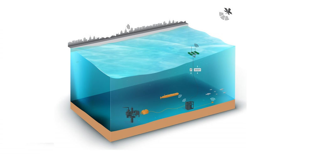 Illustration/C-Power’s SeaRAY resident system concept (Courtesy of C-Power)