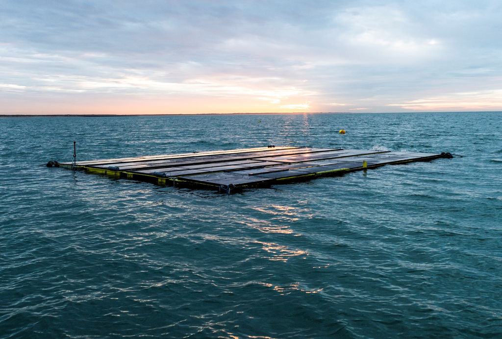 Illustration/Offshore floating solar unite developed by Dutch company Oceans of Energy (Courtesy of Oceans of Energy)