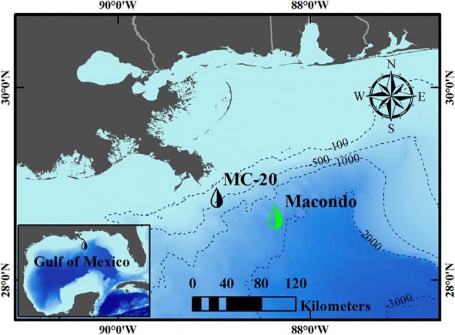 Location of MC20; Source: USF College of Marine Science