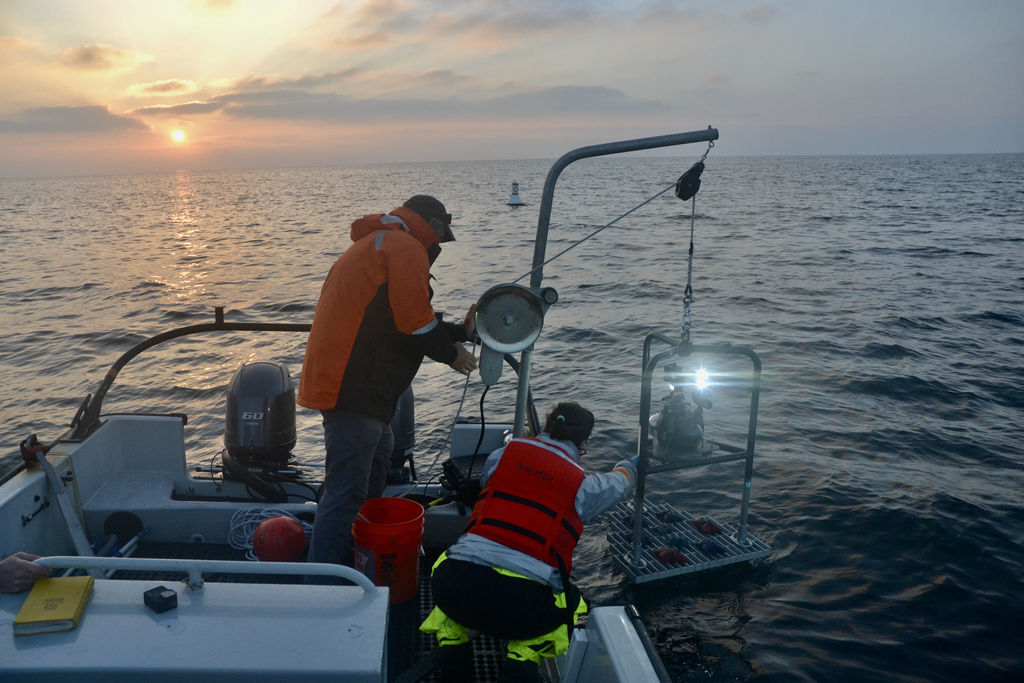 The deployment of the Boxfish camera (Photo by Cailene Gunn|Courtesy of PNNL)
