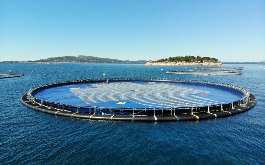 Ocean Sun's floating solar technology (Courtesy of Ocean Sun)