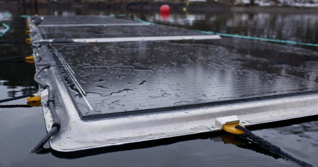 Illustration/Sunlit Sea’s floating solar panel (Courtesy of Sunlit Sea)