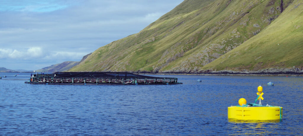 Illustration/Aqua Power Technologies’s MANTA wave energy device at salmon farm (Courtesy of Aqua Power Technologies)