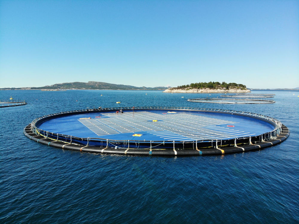 Ocean Sun, Keppel team up for Singapore's first membrane-based nearshore floating solar project